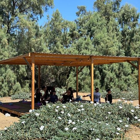 Rancho Dominique Valle De Guadalupe Exterior foto